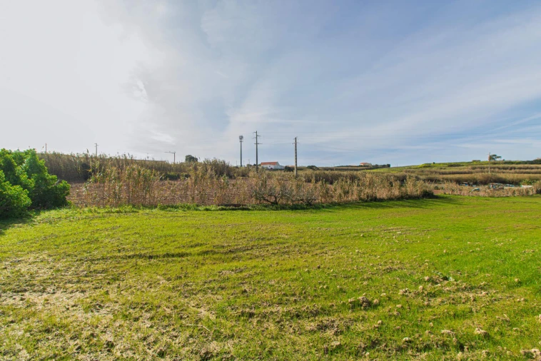 Terreno para Venda em Encarnação Foto 9