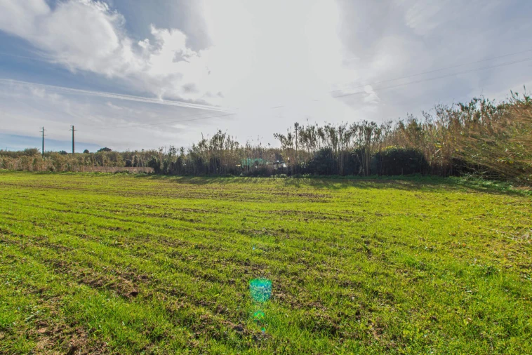 Terreno para Venda em Encarnação Foto 10