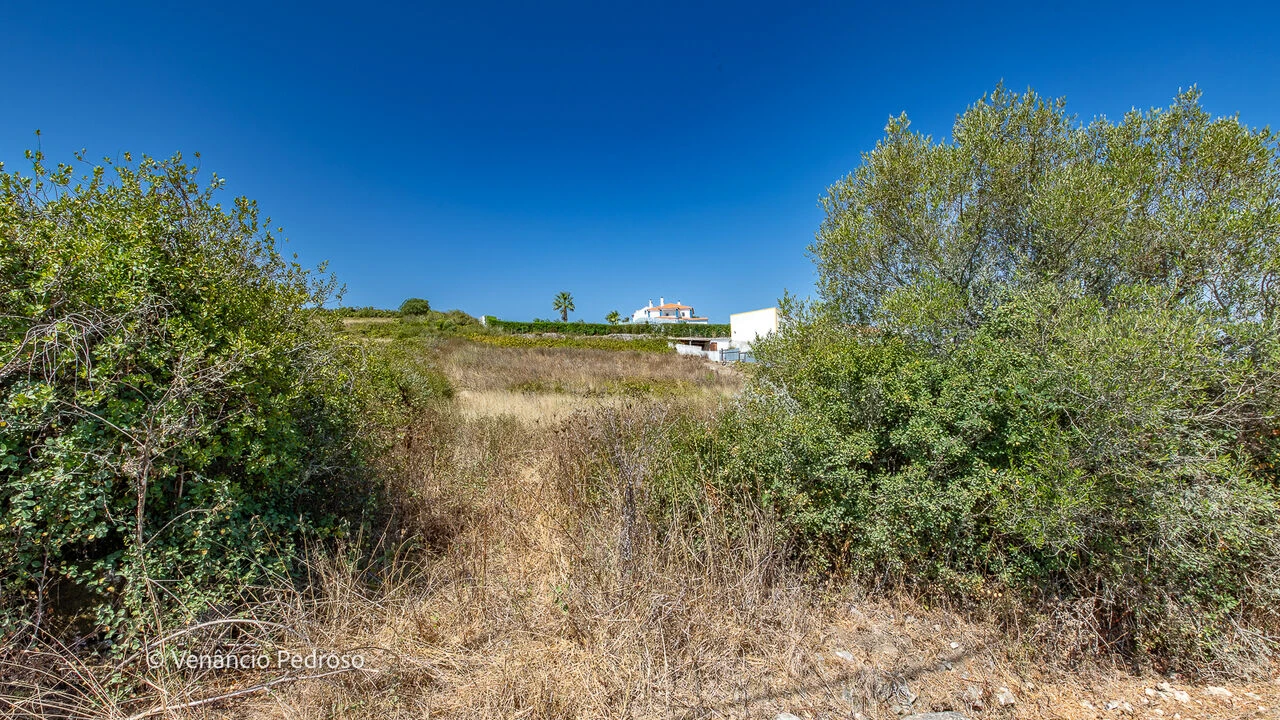 Terreno para Venda em São João das Lampas e Terrugem Foto 4