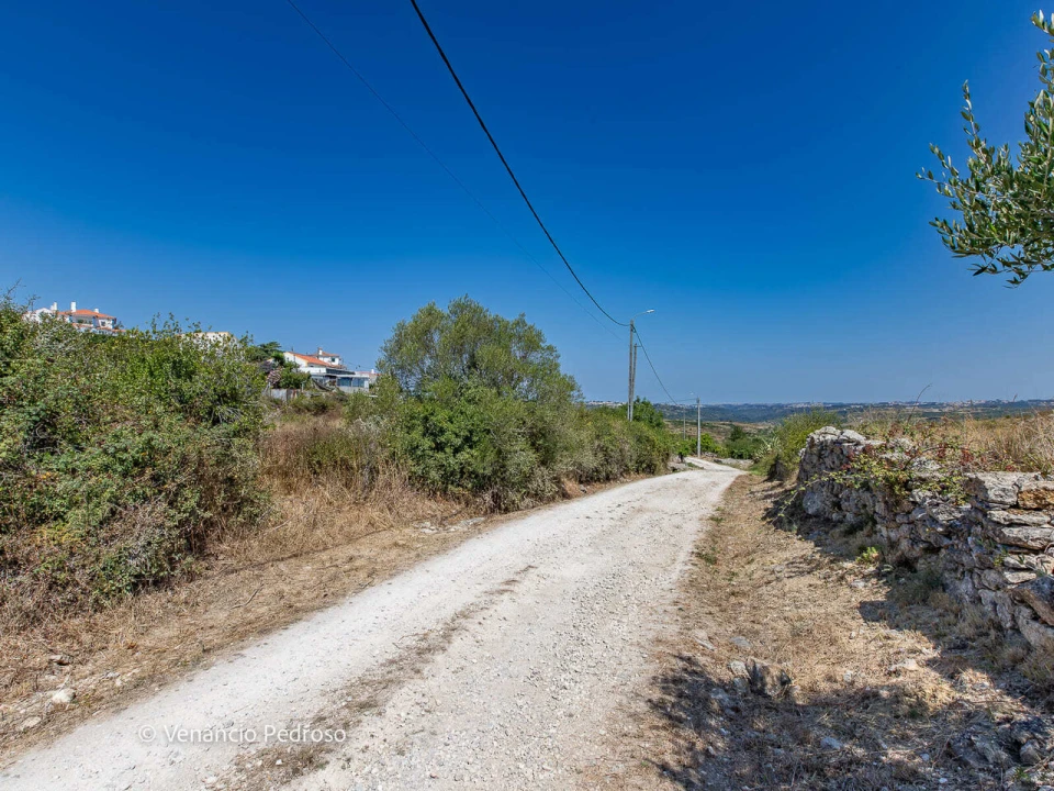 Terreno para Venda em São João das Lampas e Terrugem Foto 4