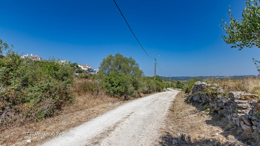 Terreno para Venda em São João das Lampas e Terrugem Foto 3