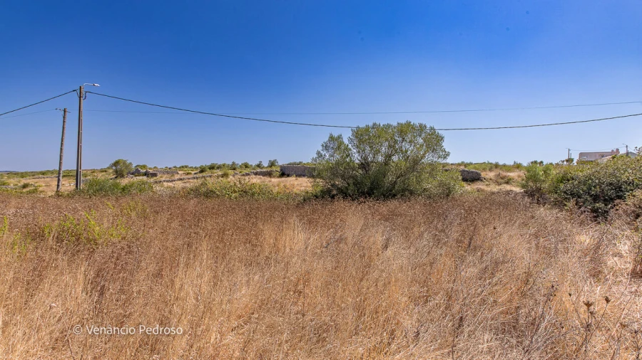Terreno para Venda em São João das Lampas e Terrugem Foto 5