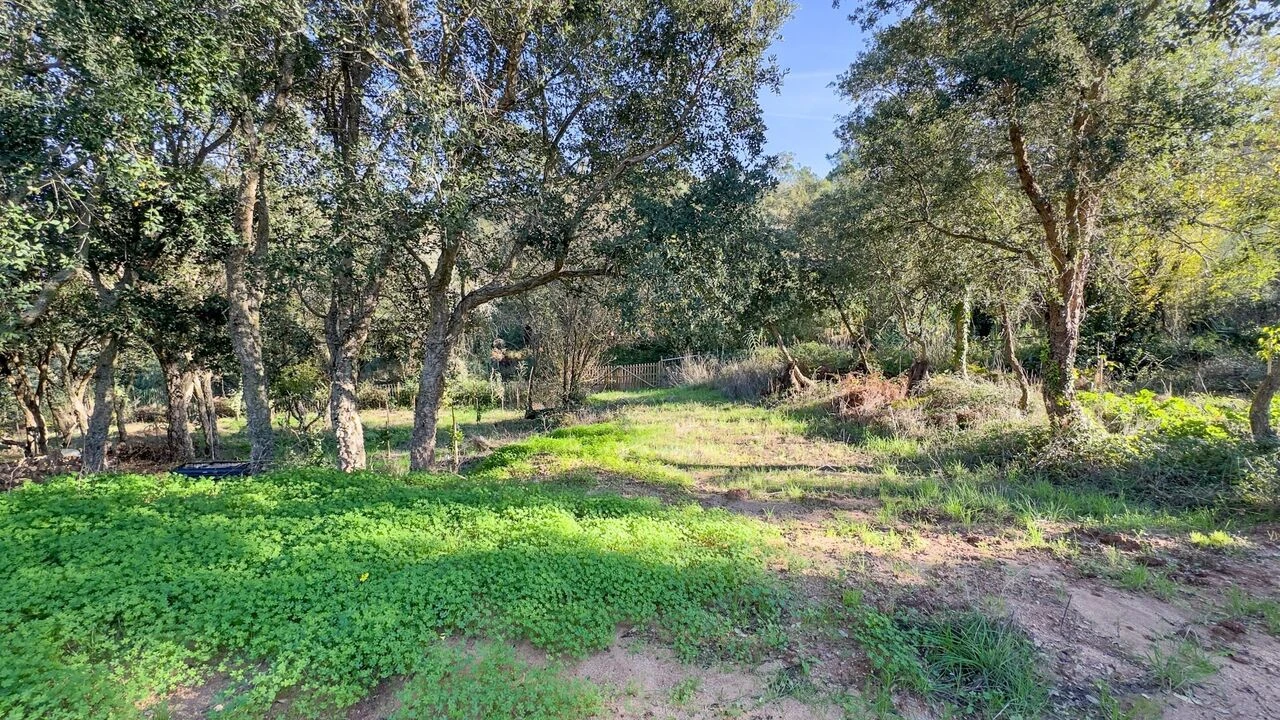 Terreno para Venda em Enxara do Bispo, Gradil e Vila Franca do Rosário Foto 17