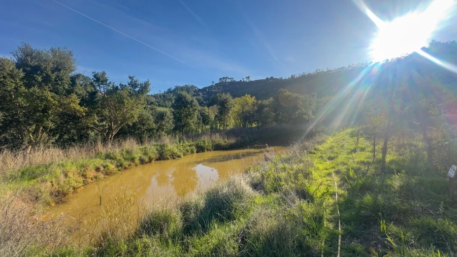 Terreno para Venda em Enxara do Bispo, Gradil e Vila Franca do Rosário Foto 10