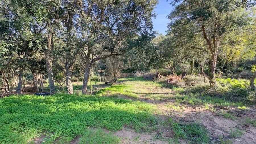 Terreno para Venda em Enxara do Bispo, Gradil e Vila Franca do Rosário Foto 17