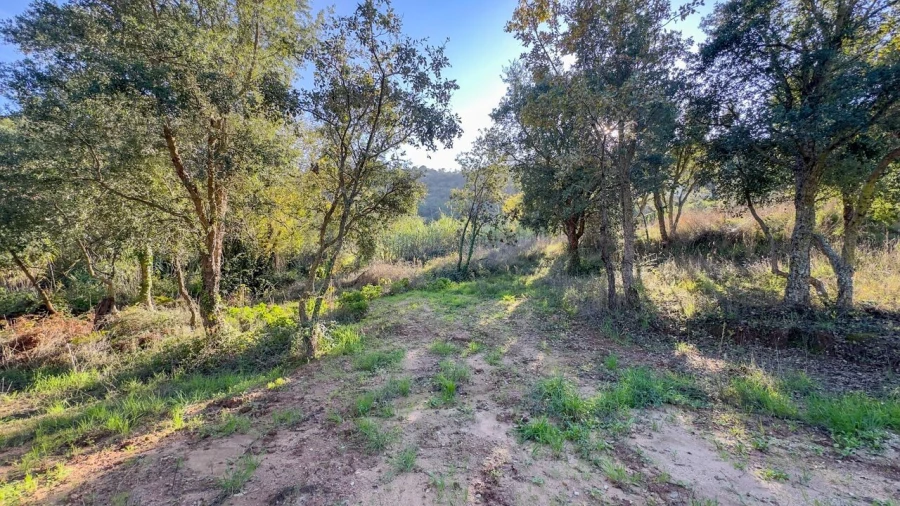 Terreno para Venda em Enxara do Bispo, Gradil e Vila Franca do Rosário Foto 18