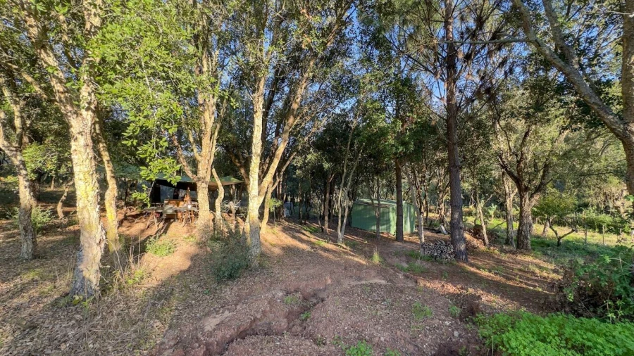 Terreno para Venda em Enxara do Bispo, Gradil e Vila Franca do Rosário Foto 19
