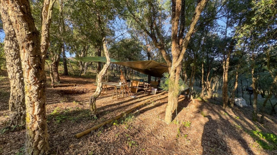 Terreno para Venda em Enxara do Bispo, Gradil e Vila Franca do Rosário Foto 20