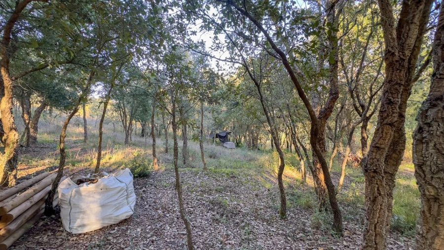 Terreno para Venda em Enxara do Bispo, Gradil e Vila Franca do Rosário Foto 22