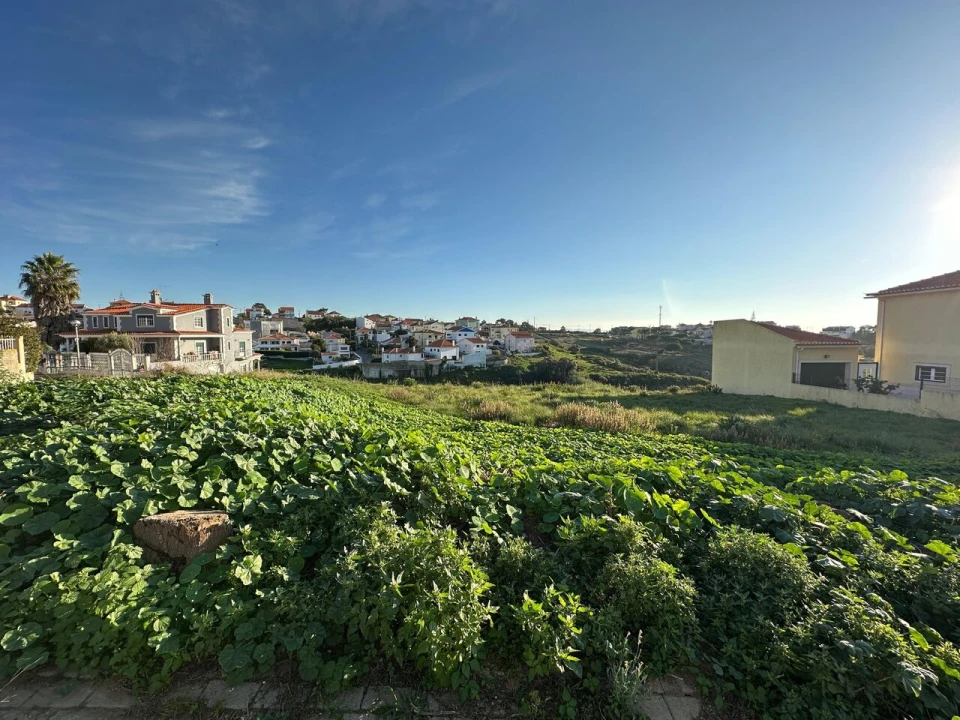 Terreno para Venda em Ericeira Foto 12