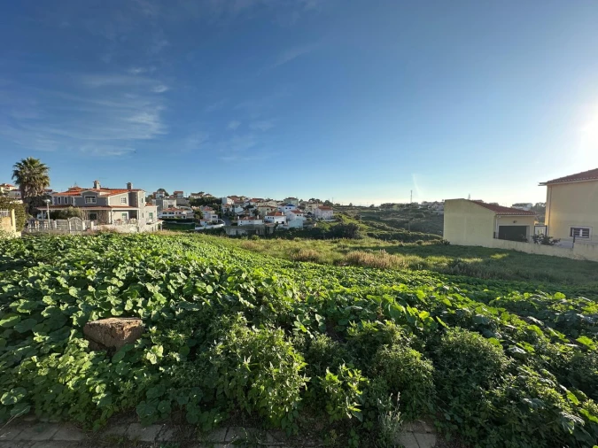 Terreno para Venda em Ericeira Foto 12