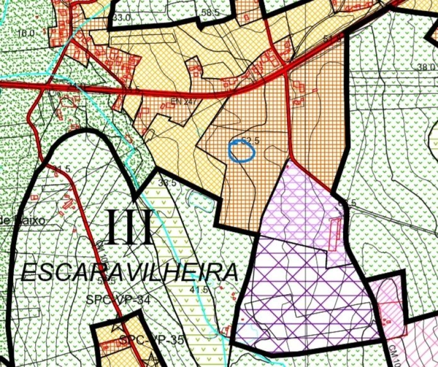 Terreno para Venda em São Pedro da Cadeira Foto 13