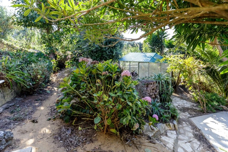 Moradia T4 para Venda em Ericeira Foto 39