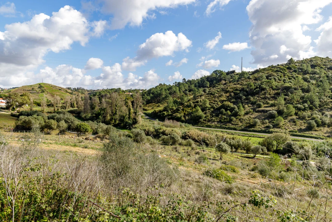 Moradia T4 para Venda em Ericeira Foto 12