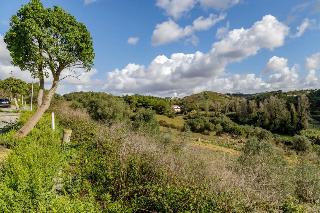 Moradia T4 para Venda em Ericeira Foto 39