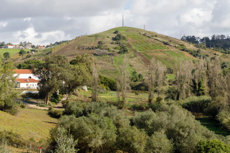 Moradia T4 para Venda em Ericeira Foto 5