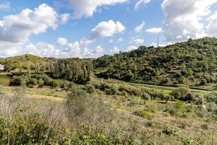 Moradia T4 para Venda em Ericeira Foto 12