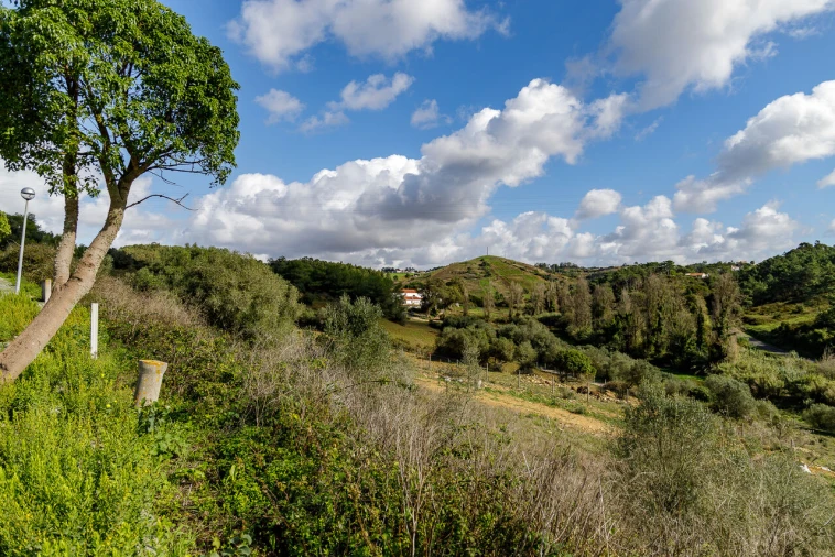 Moradia T4 para Venda em Ericeira Foto 11