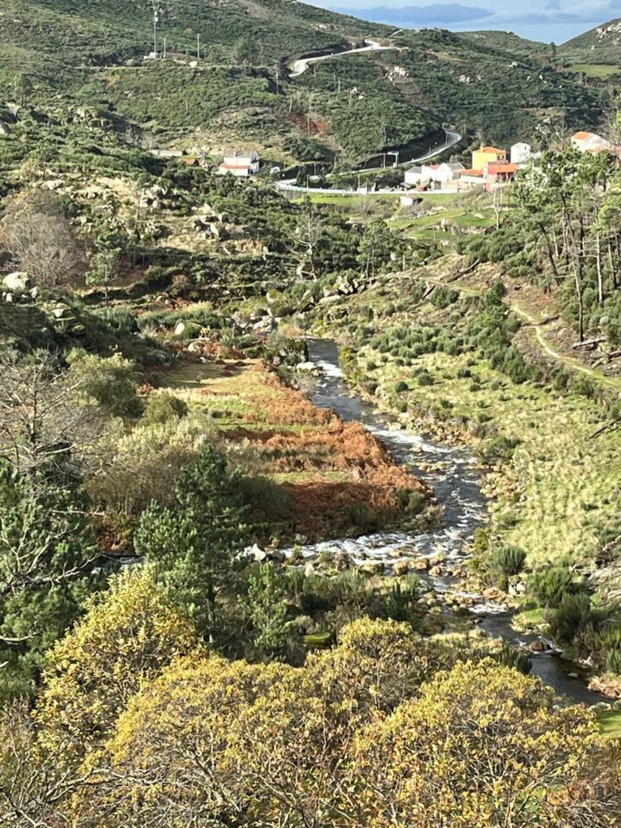 Moradia T2 para Venda em Sabugueiro Foto 19