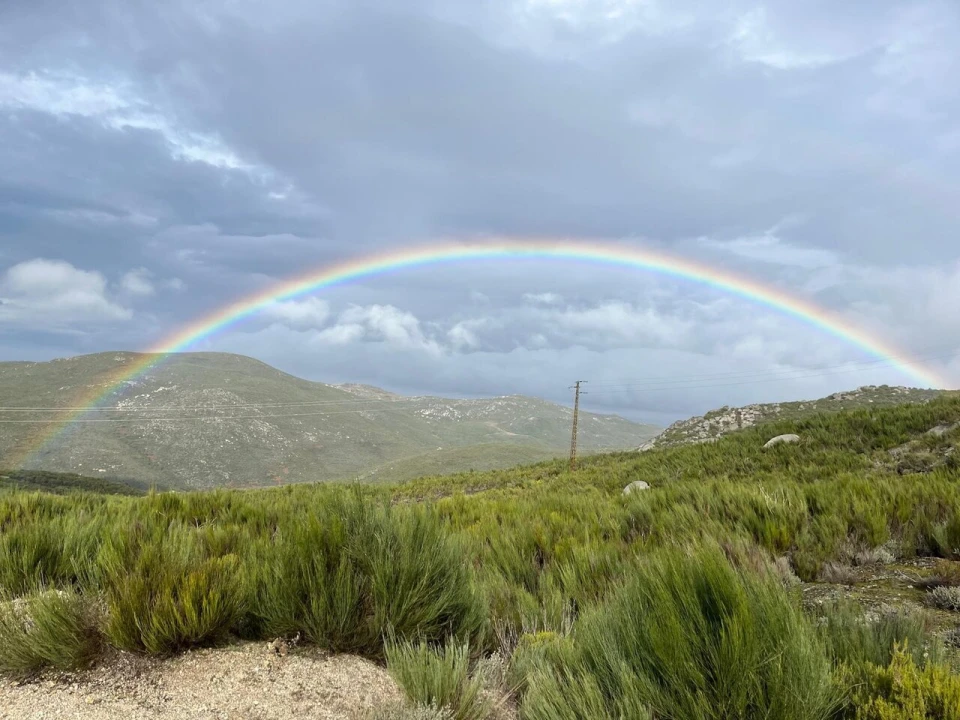 Moradia T2 para Venda em Sabugueiro Foto 21