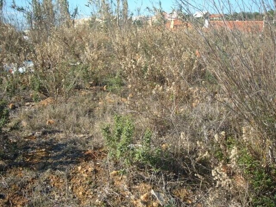 Terreno para Venda em Alcabideche Foto 1