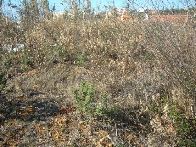 Terreno para Venda em Alcabideche