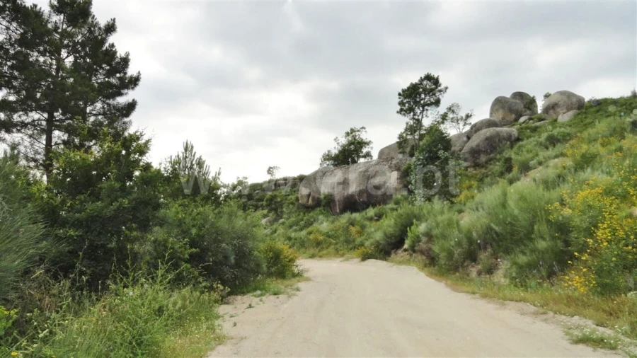 Terreno para Venda em Soalhães Foto 8