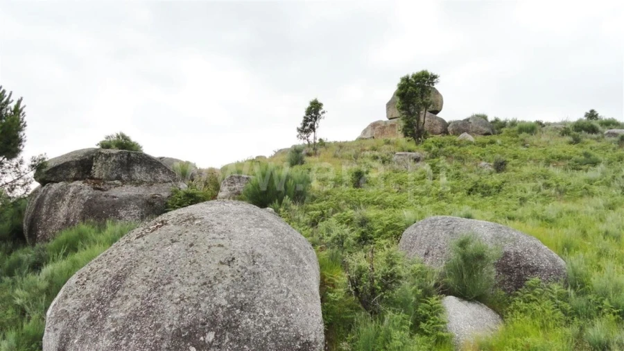 Terreno para Venda em Soalhães Foto 7