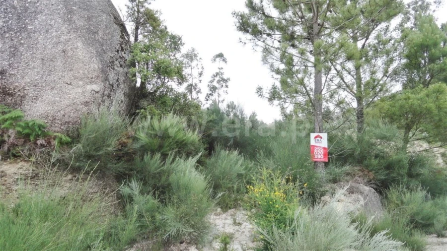 Terreno para Venda em Soalhães Foto 5
