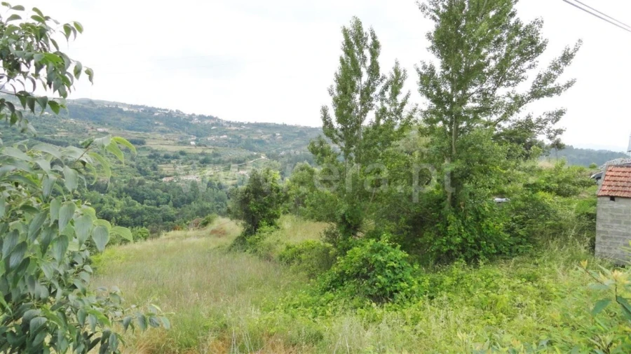 Terreno para Venda em Soalhães Foto 3