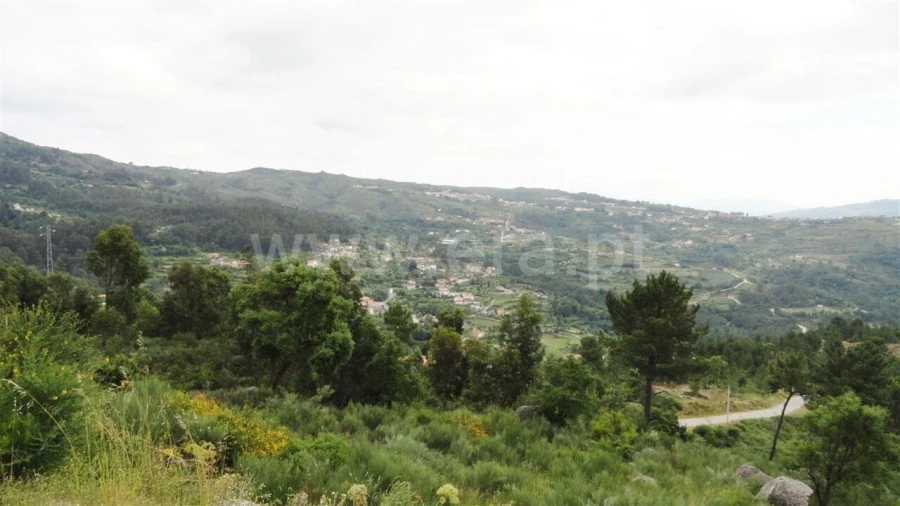 Terreno para Venda em Soalhães Foto 9