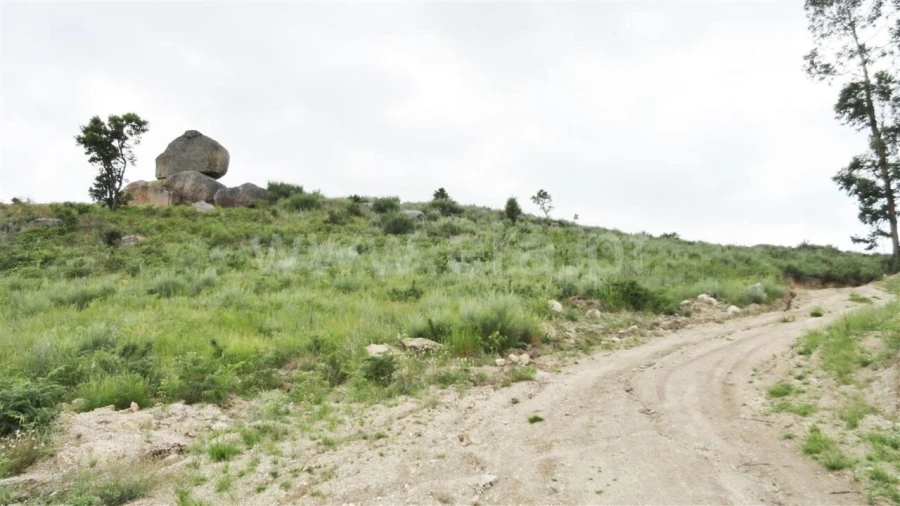 Terreno para Venda em Soalhães Foto 2