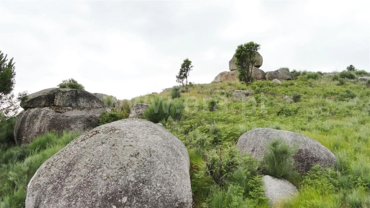 Terreno para Venda em Soalhães Foto 7