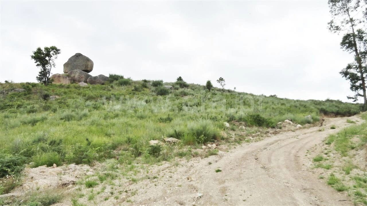 Terreno para Venda em Soalhães Foto 2