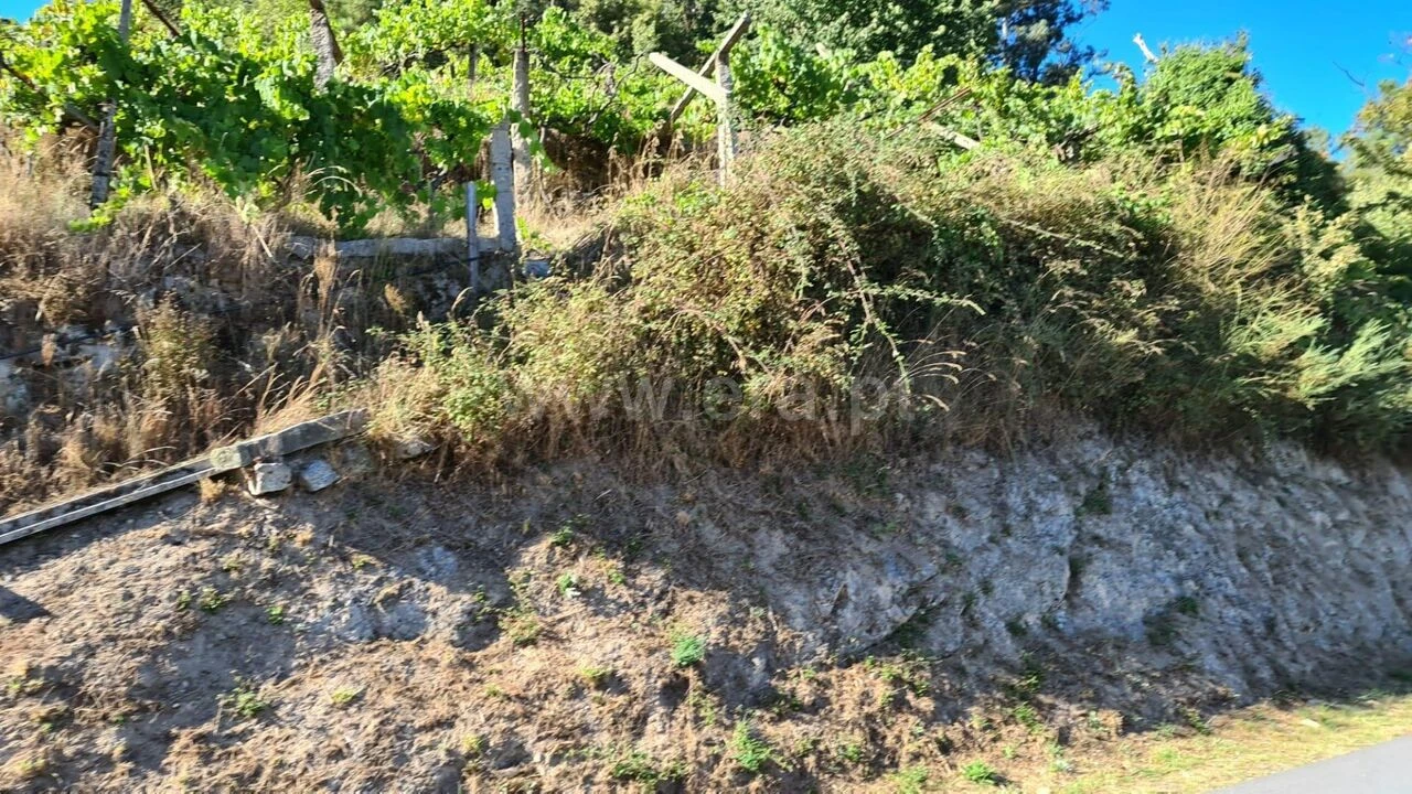 Terreno para Venda em Valadares Foto 10
