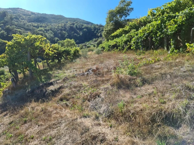 Terreno para Venda em Valadares Foto 9