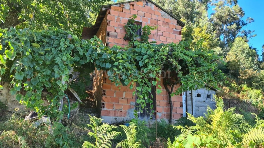 Terreno para Venda em Valadares Foto 5