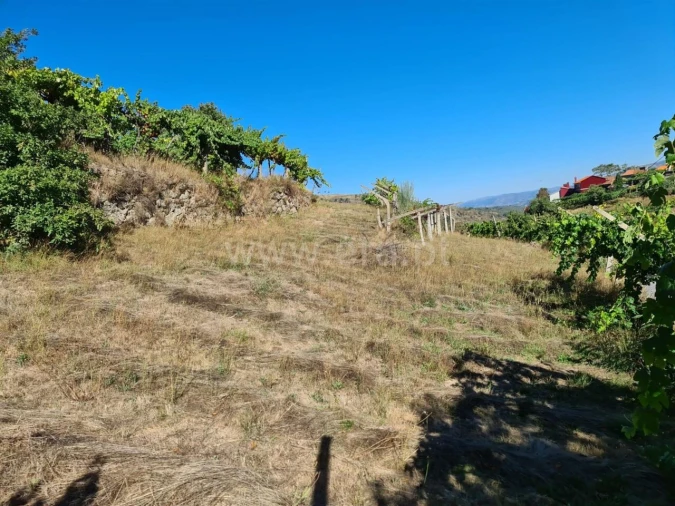 Terreno para Venda em Valadares Foto 7
