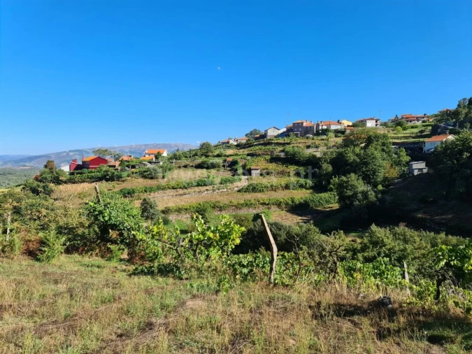 Terreno para Venda em Valadares Foto 4