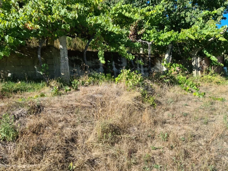 Terreno para Venda em Valadares Foto 18
