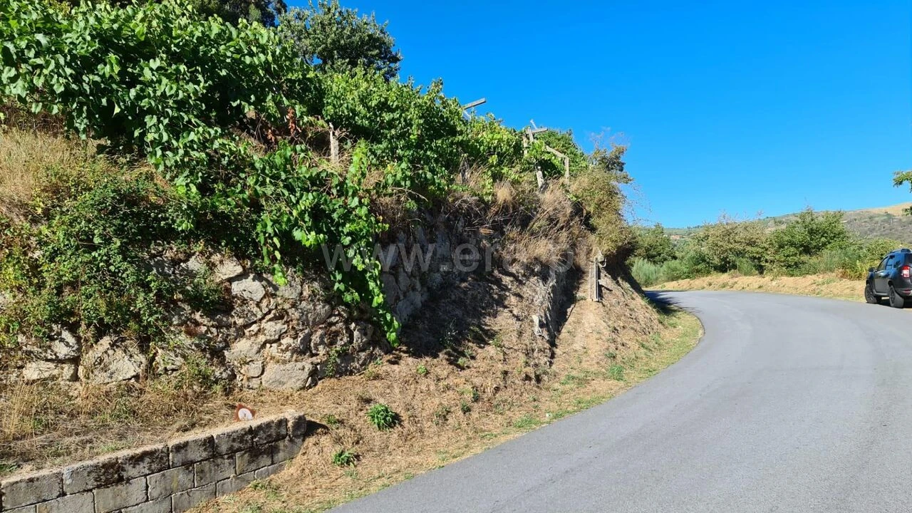 Terreno para Venda em Valadares Foto 19