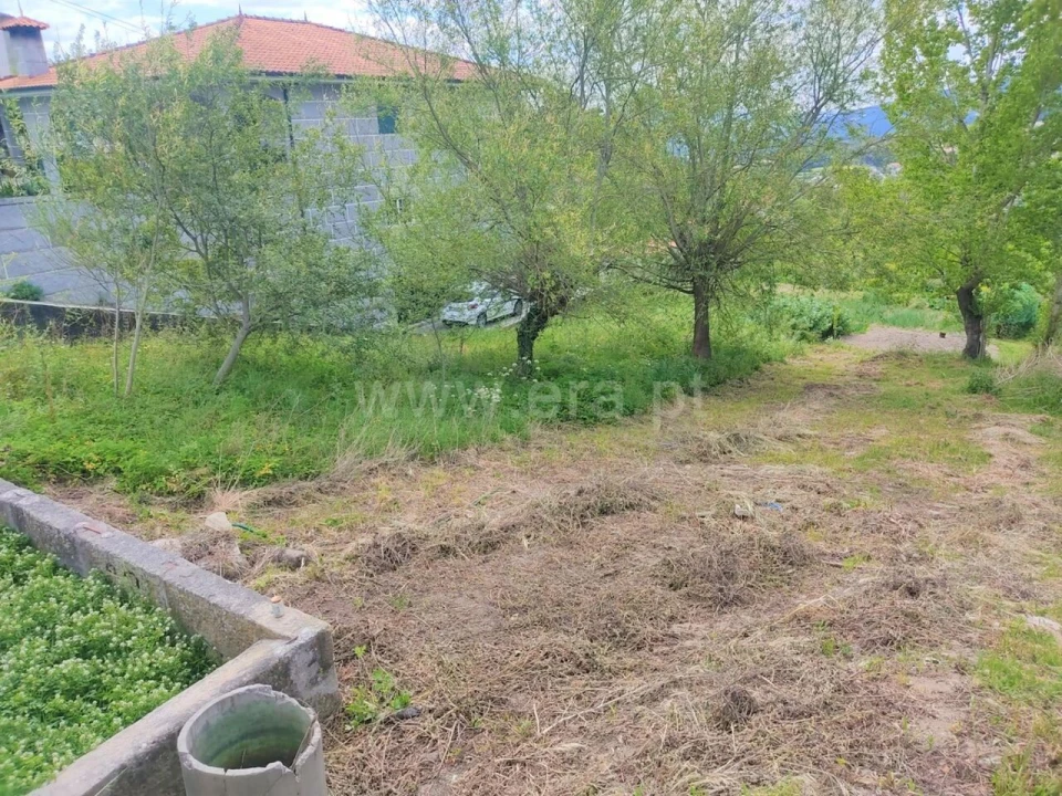 Terreno para Venda em Penhalonga e Paços de Gaiolo Foto 4