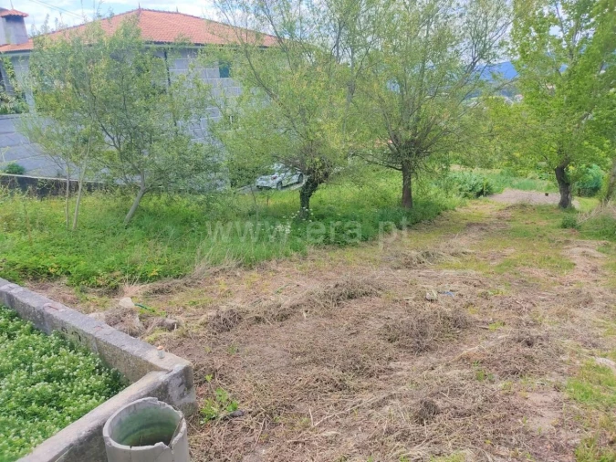 Terreno para Venda em Penhalonga e Paços de Gaiolo Foto 4