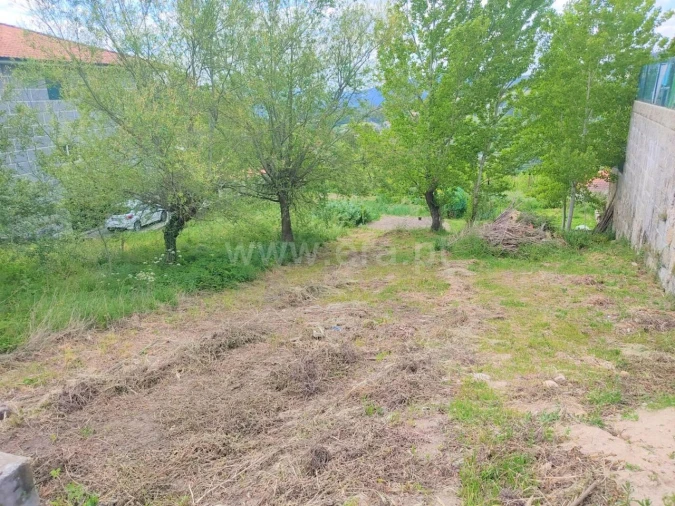 Terreno para Venda em Penhalonga e Paços de Gaiolo Foto 3