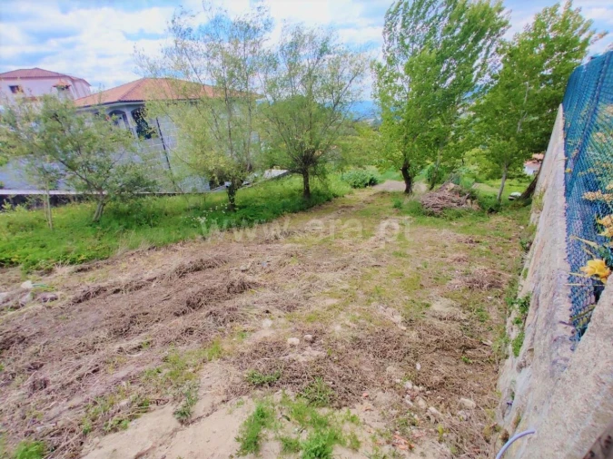 Terreno para Venda em Penhalonga e Paços de Gaiolo Foto 7