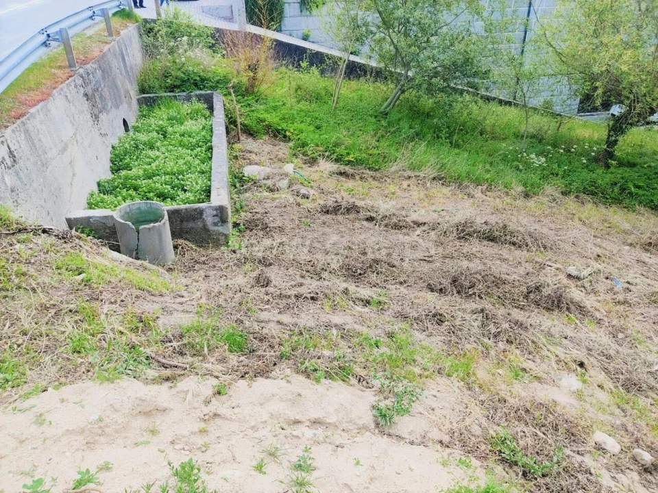 Terreno para Venda em Penhalonga e Paços de Gaiolo Foto 5
