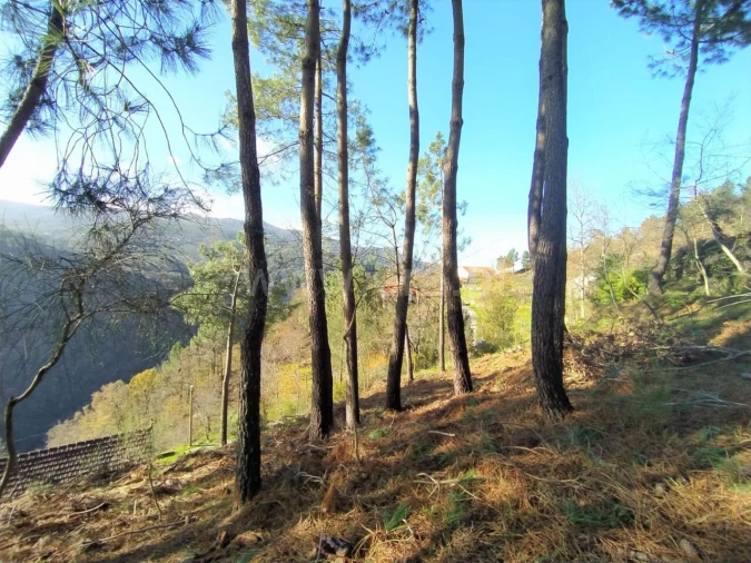 Terreno para Venda em Ferreiros de Tendais Foto 10