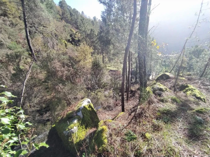 Terreno para Venda em Ferreiros de Tendais Foto 12
