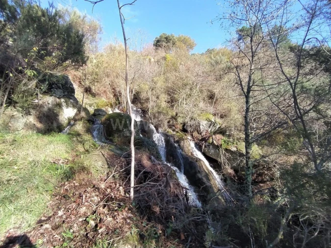 Terreno para Venda em Ferreiros de Tendais Foto 11