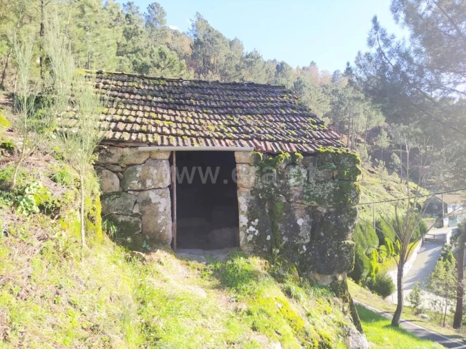 Terreno para Venda em Ferreiros de Tendais Foto 6